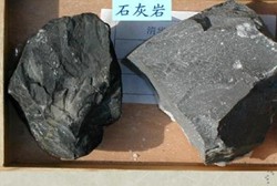 一建报考条件网