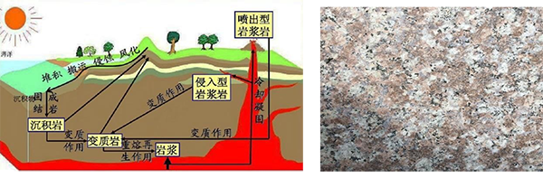 一建报考条件网